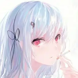 热播电视剧白色回声海报